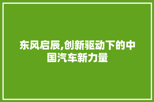 东风启辰,创新驱动下的中国汽车新力量