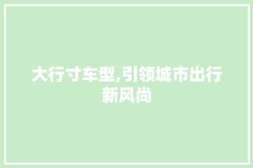 大行寸车型,引领城市出行新风尚