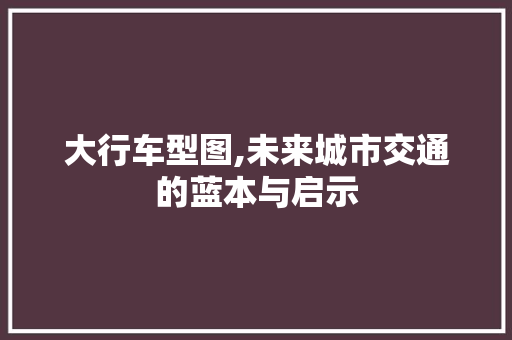 大行车型图,未来城市交通的蓝本与启示