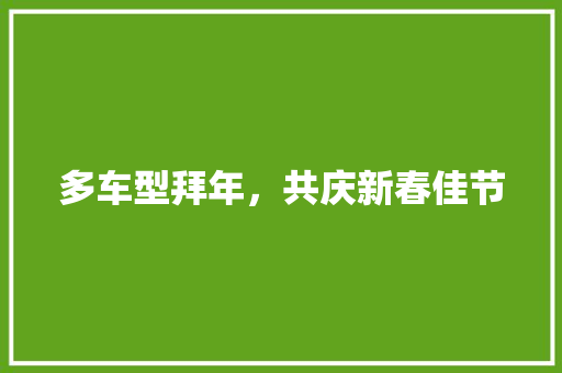 多车型拜年，共庆新春佳节