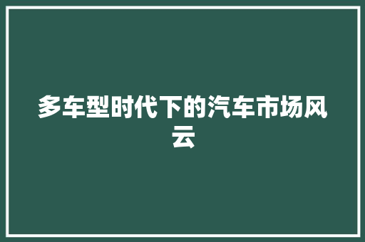 多车型时代下的汽车市场风云
