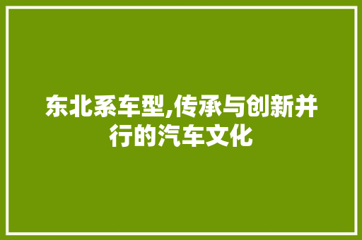 东北系车型,传承与创新并行的汽车文化
