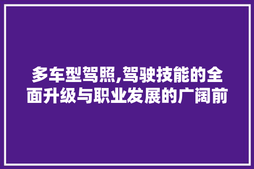 多车型驾照,驾驶技能的全面升级与职业发展的广阔前景