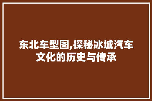 东北车型图,探秘冰城汽车文化的历史与传承