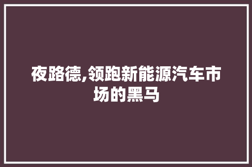 夜路德,领跑新能源汽车市场的黑马