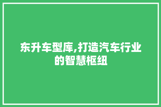 东升车型库,打造汽车行业的智慧枢纽