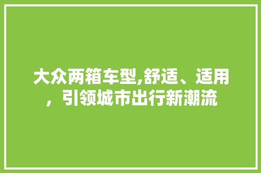大众两箱车型,舒适、适用，引领城市出行新潮流
