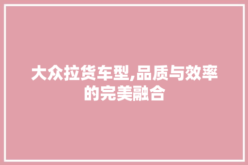 大众拉货车型,品质与效率的完美融合