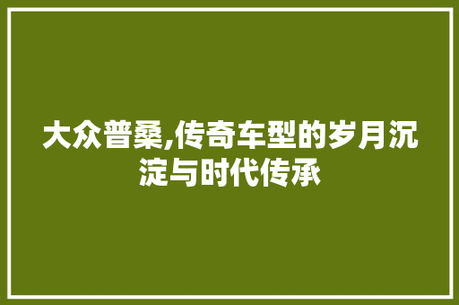 大众普桑,传奇车型的岁月沉淀与时代传承