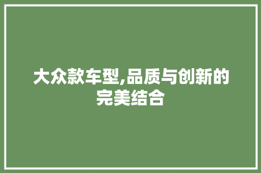 大众款车型,品质与创新的完美结合