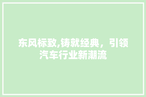 东风标致,铸就经典，引领汽车行业新潮流