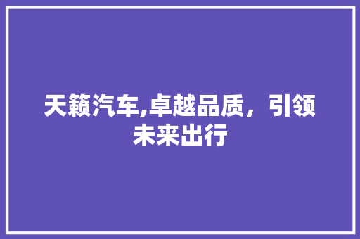 天籁汽车,卓越品质，引领未来出行