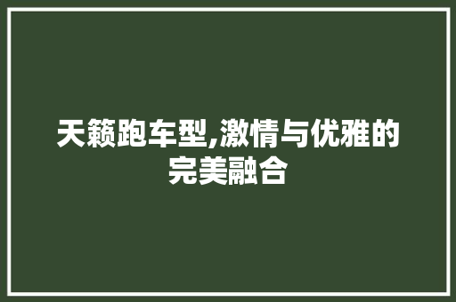 天籁跑车型,激情与优雅的完美融合