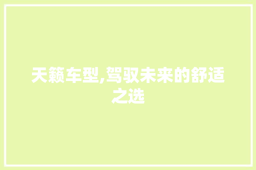 天籁车型,驾驭未来的舒适之选