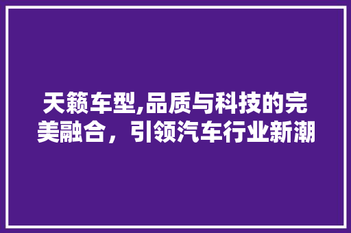 天籁车型,品质与科技的完美融合，引领汽车行业新潮流