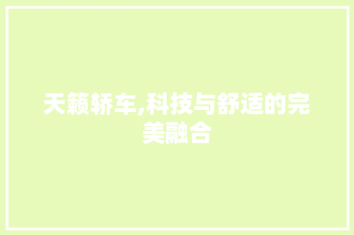天籁轿车,科技与舒适的完美融合