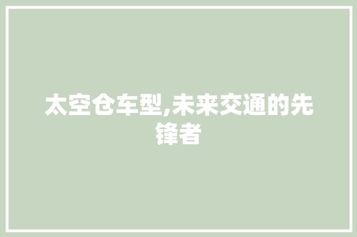 太空仓车型,未来交通的先锋者