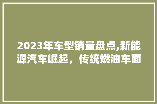 2023年车型销量盘点,新能源汽车崛起，传统燃油车面临挑战