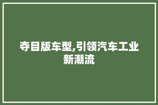 夺目版车型,引领汽车工业新潮流