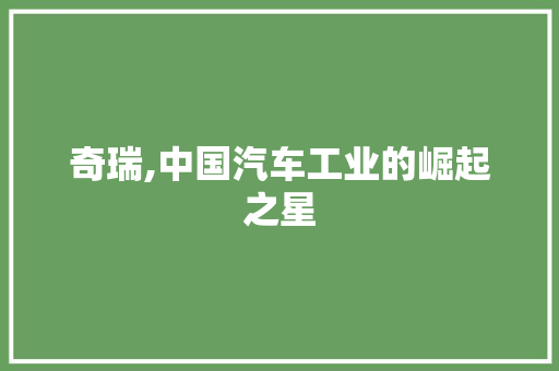 奇瑞,中国汽车工业的崛起之星 汽车配件
