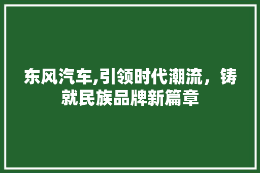 东风汽车,引领时代潮流，铸就民族品牌新篇章