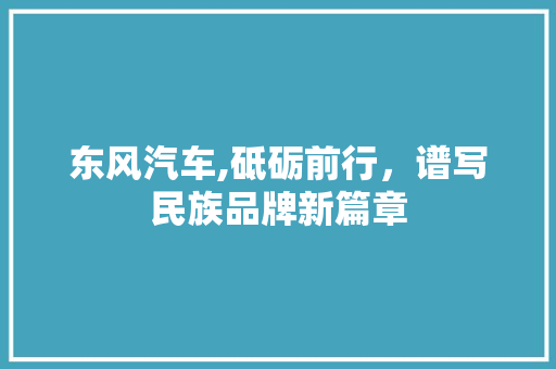 东风汽车,砥砺前行，谱写民族品牌新篇章