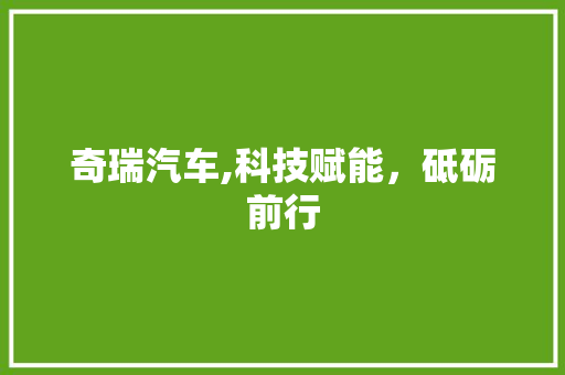 奇瑞汽车,科技赋能，砥砺前行