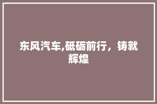 东风汽车,砥砺前行，铸就辉煌