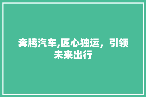 奔腾汽车,匠心独运，引领未来出行