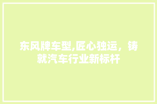 东风牌车型,匠心独运，铸就汽车行业新标杆