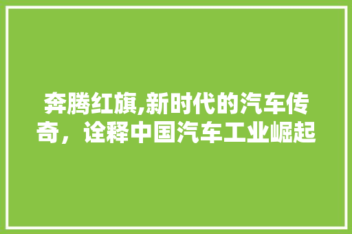 奔腾红旗,新时代的汽车传奇，诠释中国汽车工业崛起之路
