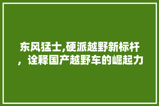 东风猛士,硬派越野新标杆，诠释国产越野车的崛起力量