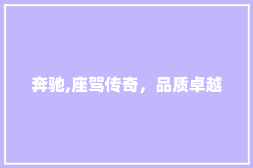 奔驰,座驾传奇，品质卓越