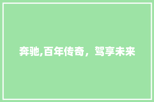 奔驰,百年传奇，驾享未来