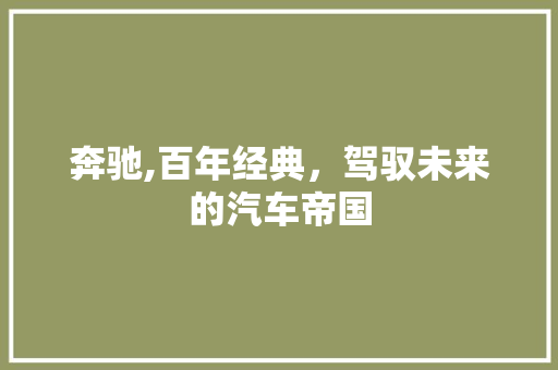 奔驰,百年经典，驾驭未来的汽车帝国 汽车配件