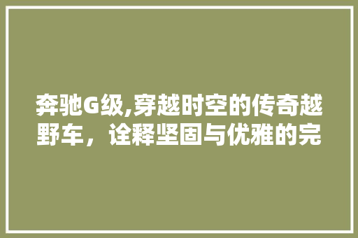 奔驰G级,穿越时空的传奇越野车，诠释坚固与优雅的完美融合