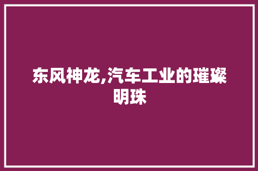 东风神龙,汽车工业的璀璨明珠