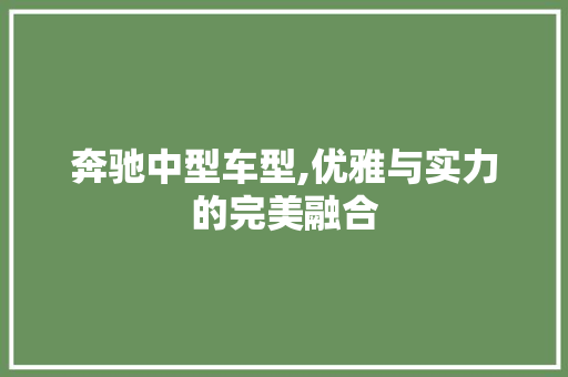 奔驰中型车型,优雅与实力的完美融合