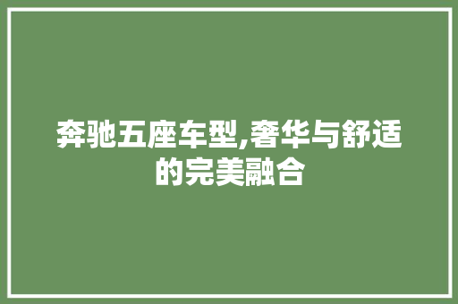 奔驰五座车型,奢华与舒适的完美融合 新款车型