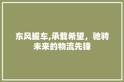东风罐车,承载希望，驰骋未来的物流先锋