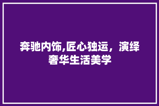 奔驰内饰,匠心独运，演绎奢华生活美学