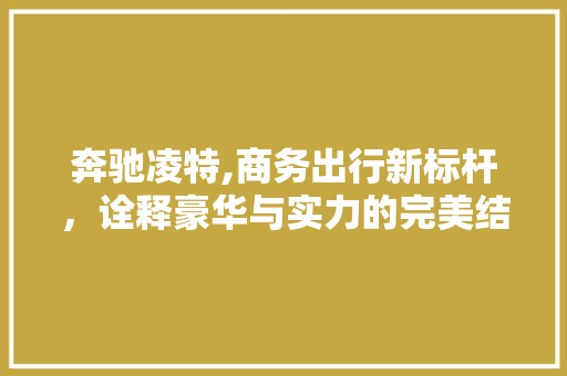 奔驰凌特,商务出行新标杆，诠释豪华与实力的完美结合