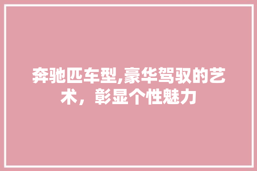 奔驰匹车型,豪华驾驭的艺术，彰显个性魅力