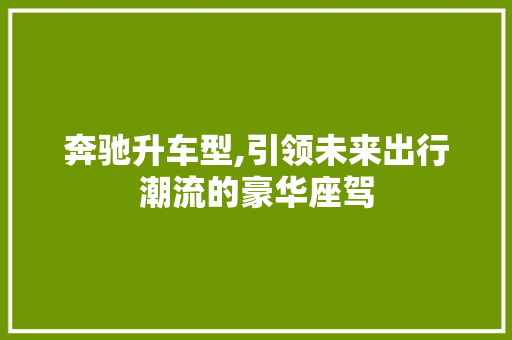 奔驰升车型,引领未来出行潮流的豪华座驾