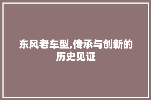 东风老车型,传承与创新的历史见证