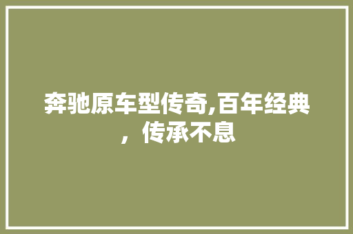 奔驰原车型传奇,百年经典，传承不息