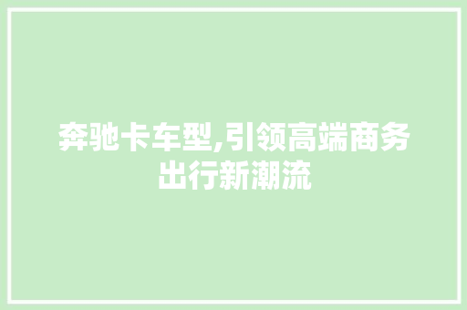 奔驰卡车型,引领高端商务出行新潮流