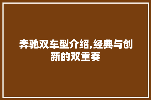 奔驰双车型介绍,经典与创新的双重奏