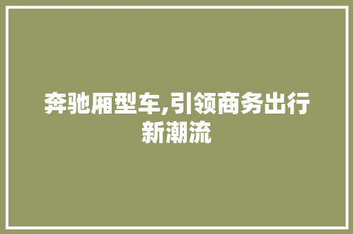 奔驰厢型车,引领商务出行新潮流