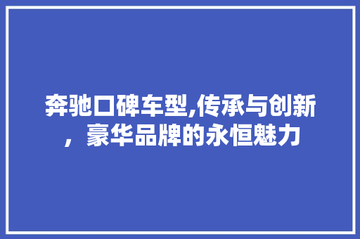 奔驰口碑车型,传承与创新，豪华品牌的永恒魅力